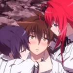 Anime Like High School DxD