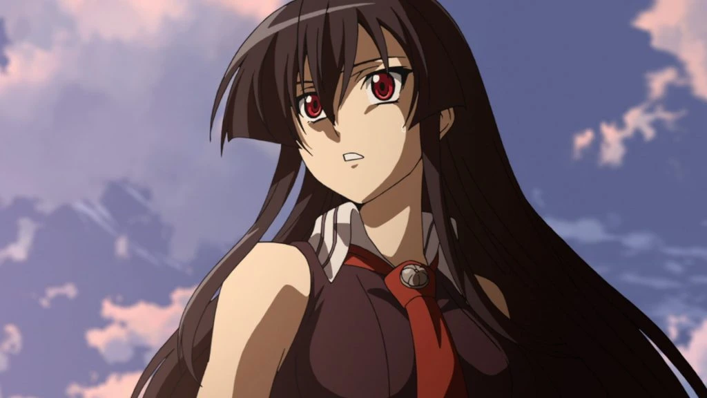 Anime Like Lord Marksman and Vanadis